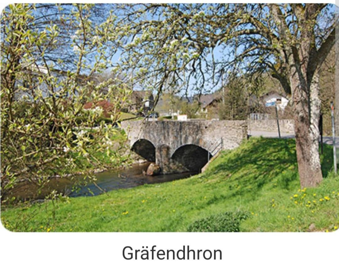 Dhrontalstube Daire Grafendhron Dış mekan fotoğraf